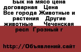 Бык на мясо цена договарная › Цена ­ 300 - Все города Животные и растения » Другие животные   . Чеченская респ.,Грозный г.